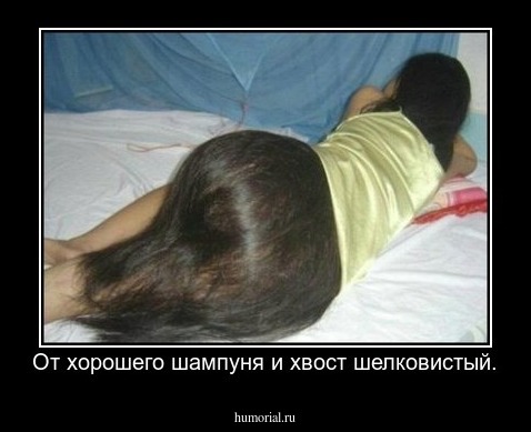 От хорошего шампуня и хвост шелковистый.