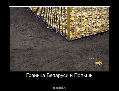 Граница Беларуси и Польши
