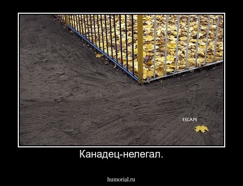 Канадец-нелегал.
