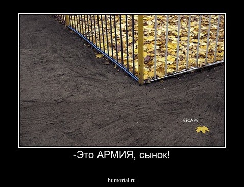 -Это АРМИЯ, сынок!