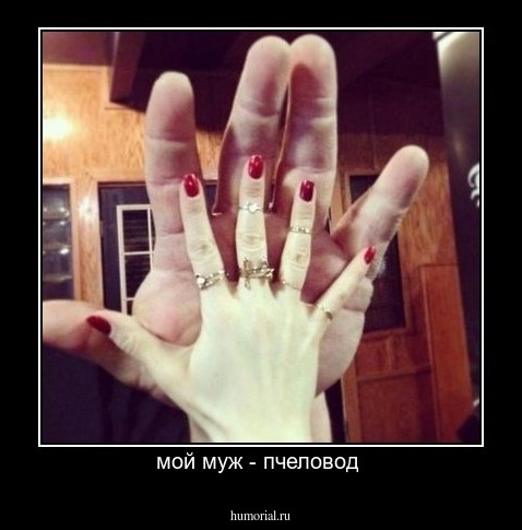 мой муж - пчеловод 