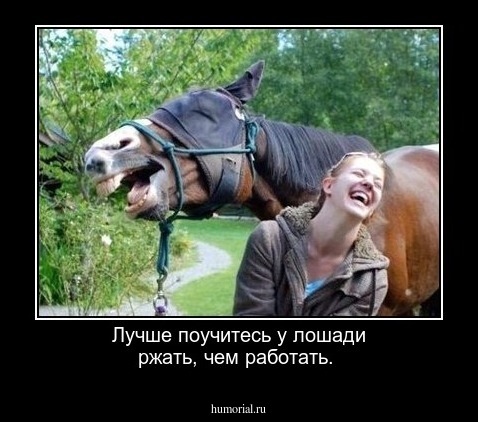 Лучше поучитесь у лошади ржать, чем  работать.