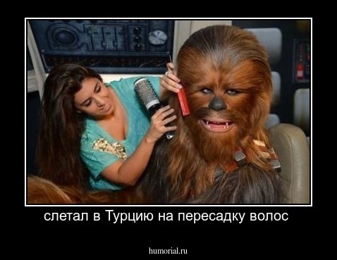 слетал в Турцию на пересадку волос 