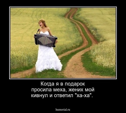 Когда я в подарок просила меха, жених мой кивнул и ответил "ха-ха".