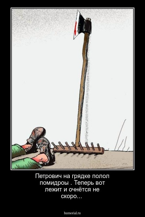Петрович на грядке полол помидроы . Теперь вот лежит и очнётся не скоро...