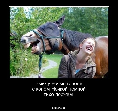 Выйду ночью в поле с конём
Ночкой  тёмной тихо поржем