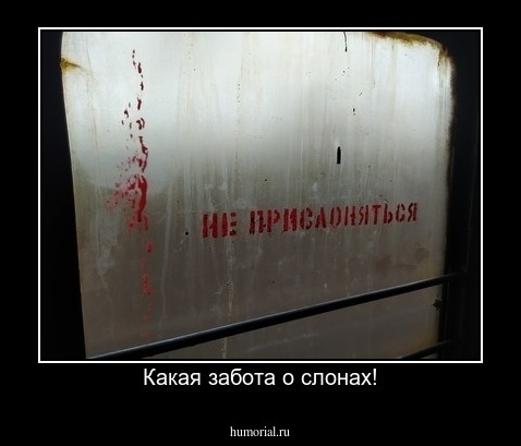 Какая забота о слонах!