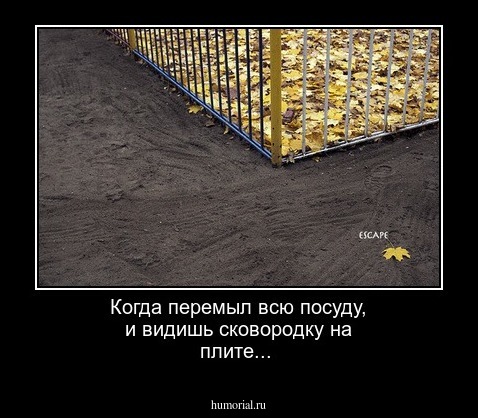 Когда перемыл всю посуду, и видишь сковородку на плите... 