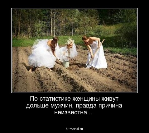 По статистике женщины живут дольше мужчин, правда причина неизвестна... 