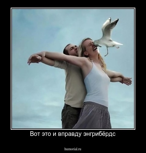 Вот это и вправду энгрибёрдс
