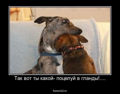 Tак вот ты какой- поцелуй в гланды!....
