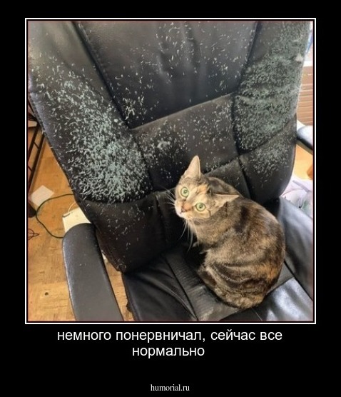 немного понервничал, сейчас все нормально