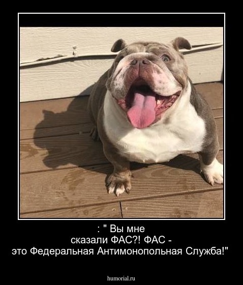  : " Вы  мне сказали ФАС?!  ФАС - это Федеральная Антимонопольная Служба!"