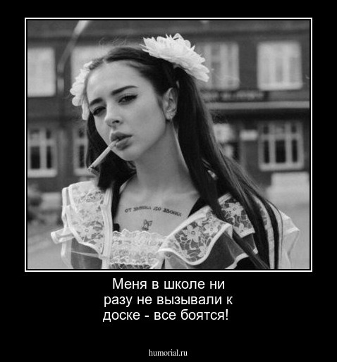 Меня в школе ни разу не вызывали к доске - все боятся!