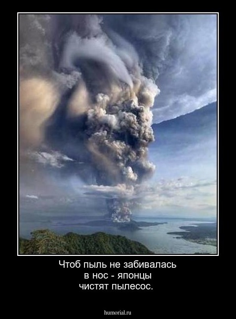  Чтоб пыль не забивалась в нос - японцы чистят пылесос.