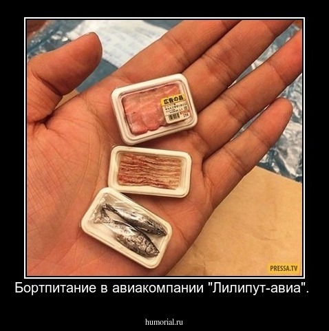 Бортпитание в авиакомпании "Лилипут-авиа".