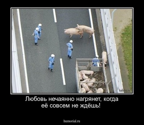  Любовь нечаянно нагрянет, когда её совсем не ждёшь!