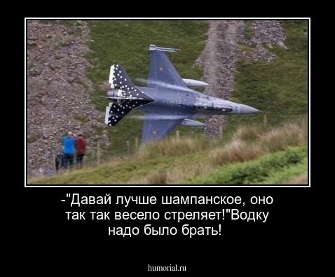 -"Давай лучше шампанское, оно так так весело стреляет!"Водку надо было брать!