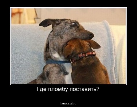 Где пломбу поставить?