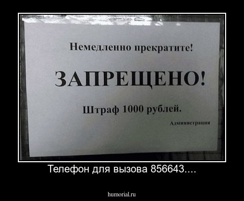 Телефон для вызова 856643....