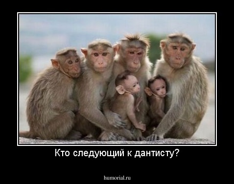 Кто следующий к дантисту?