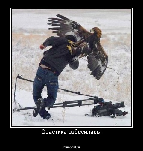 Свастика взбесилась!
