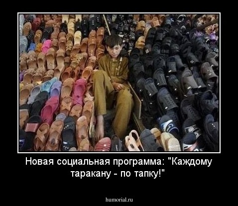 Новая социальная программа: "Каждому таракану - по тапку!"