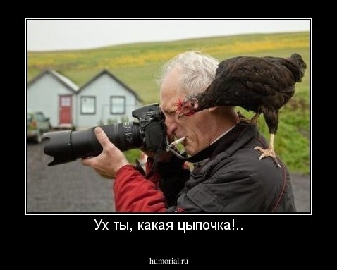 Ух ты, какая цыпочка!..