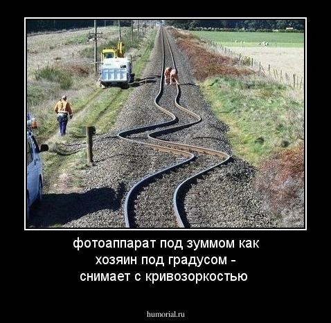 фотоаппарат под зуммом как хозяин под градусом - снимает с кривозоркостью