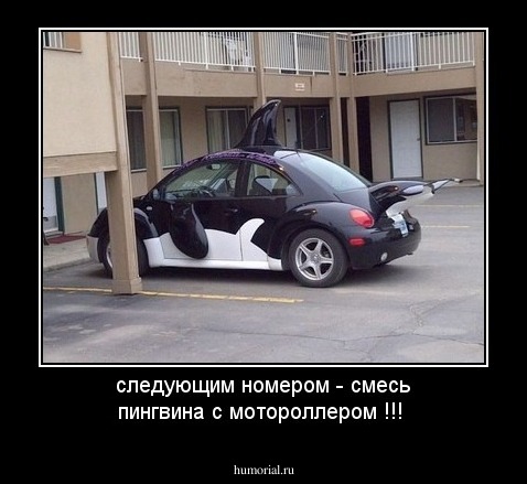 следующим номером - смесь пингвина с мотороллером !!!