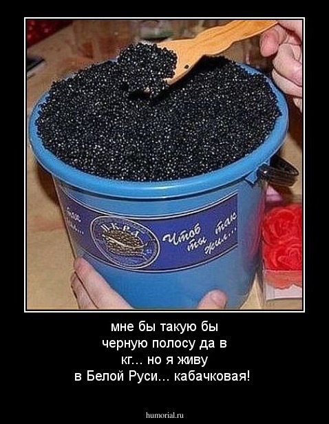 мне бы такую бы черную полосу да в кг... но я живу в Белой Руси... кабачковая!