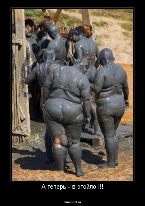 А теперь - в стойло !!!