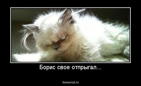 Борис свое отпрыгал...