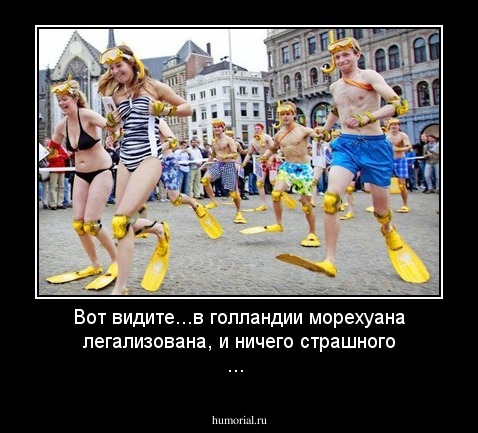 Вот видите...в голландии морехуана легализована, и ничего страшного ...