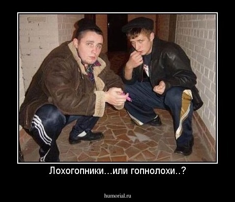 Лохогопники...или гопнолохи..?