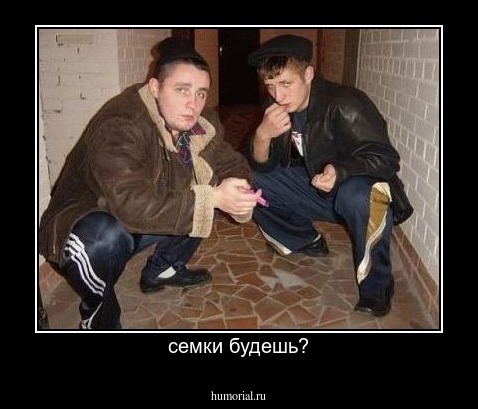 семки будешь?