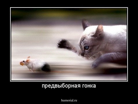 предвыборная гонка