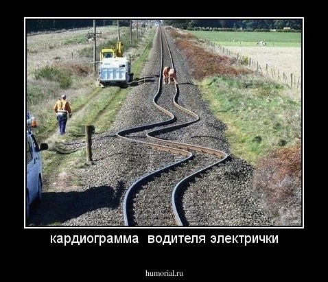 кардиограмма  водителя электрички