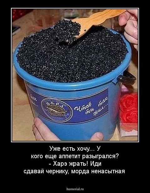 Уже есть хочу... У кого еще аппетит разыгрался? - Харэ жрать! Иди сдавай чернику, морда ненасытная
