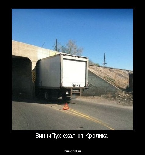 ВинниПух ехал от Кролика.