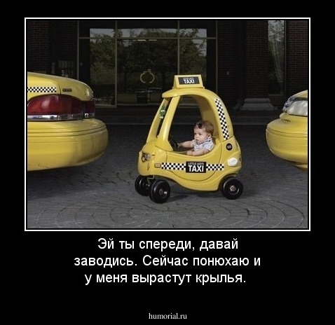 Эй ты спереди, давай заводись. Сейчас понюхаю и у меня вырастут крылья.