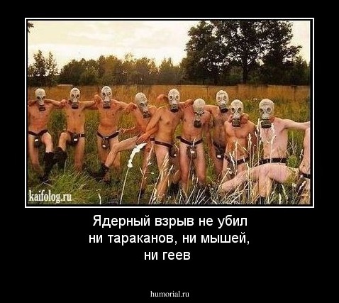 Ядерный взрыв не убил ни тараканов, ни мышей, ни геев