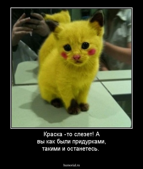Краска -то слезет! А вы как были придурками, такими и останетесь.