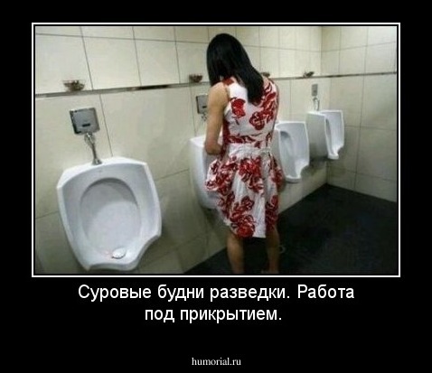 Суровые будни разведки. Работа под прикрытием.