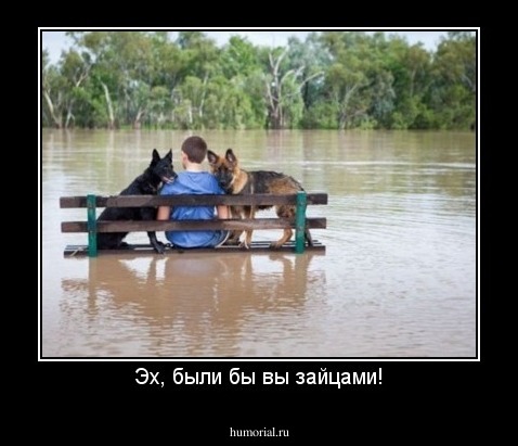Эх, были бы вы зайцами!