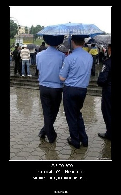 - А что это за грибы?
- Незнаю, может подполковники...