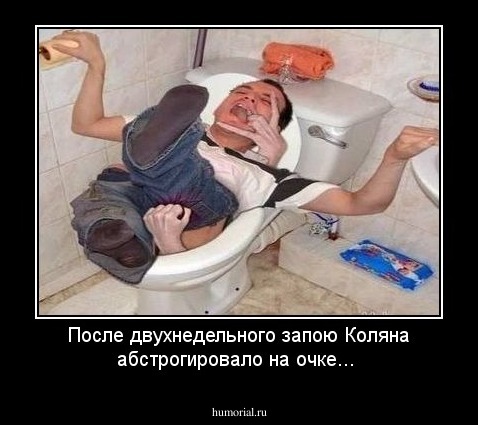 После  двухнедельного запою Коляна абстрогировало  на очке...