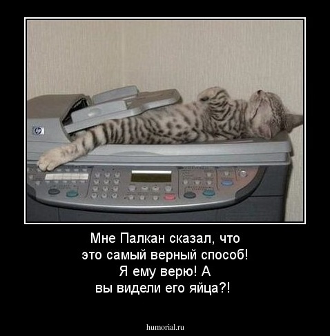Мне Палкан сказал, что это самый верный способ! Я ему верю! А вы видели его яйца?!