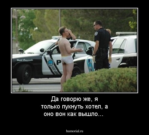 Да говорю же, я только пукнуть хотел, а оно вон как вышло...