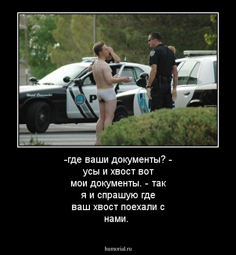 -где ваши документы?
- усы и хвост вот мои документы.
- так я и спрашую где ваш хвост поехали с нами.